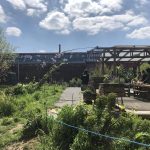 Ateliers lombricompostage avec Plaine Commune à la Semeuse