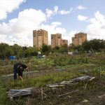 Visite guidée des Jardins Ouvriers des Vertus d’Aubervilliers