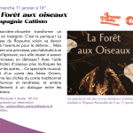 Spectacle « La forêt aux oiseaux » avec la compagnie Callisto