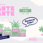 Grand marché de plantes à Terre Terre