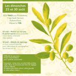 Balade à vélo avec les Vélos de la Brèche